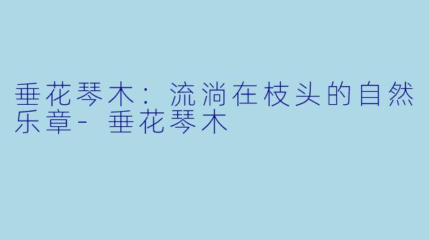 垂花琴木：流淌在枝头的自然乐章-垂花琴木