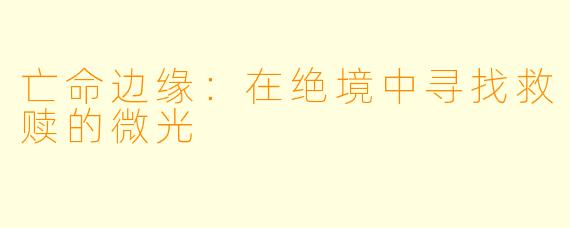 亡命边缘：在绝境中寻找救赎的微光