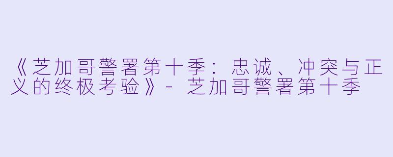 《芝加哥警署第十季：忠诚、冲突与正义的终极考验》