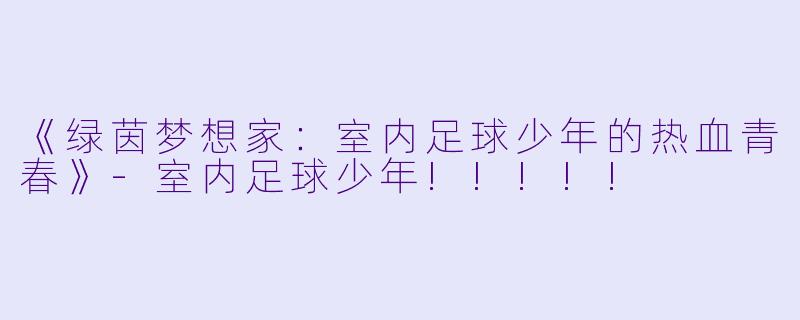 《绿茵梦想家：室内足球少年的热血青春》-室内足球少年!!!!!