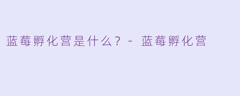 蓝莓孵化营是什么？