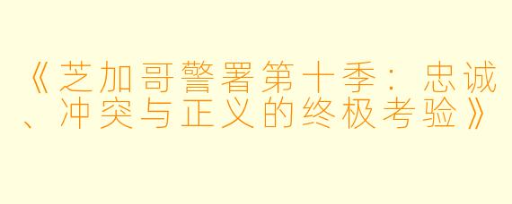 《芝加哥警署第十季：忠诚、冲突与正义的终极考验》