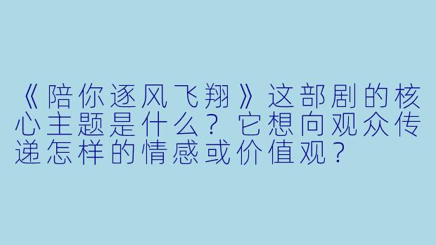 《陪你逐风飞翔》这部剧的核心主题是什么？它想向观众传递怎样的情感或价值观？