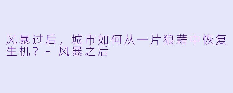 风暴过后,城市如何从一片狼藉中恢复生机?