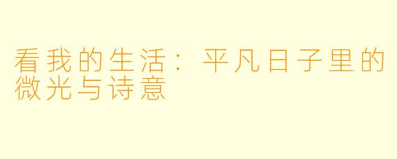 看我的生活：平凡日子里的微光与诗意