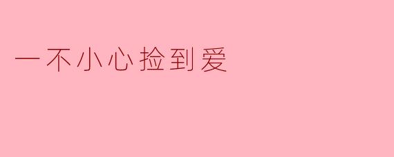 一不小心捡到爱