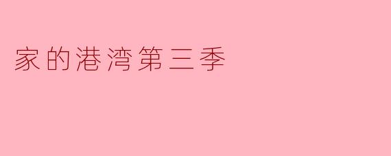 《家的港湾》第三季中,主角一家面临的最大挑战是什么?这一季的核心情感主题如何体现?
