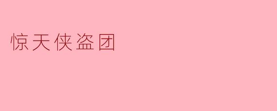 《惊天侠盗团:游走于正义边缘的现代罗宾汉》