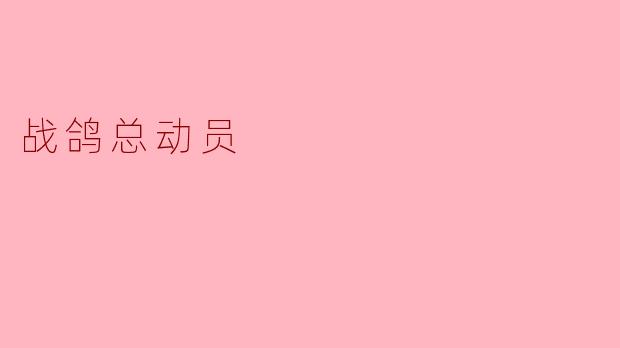 《战鸽总动员》是一部怎样的电影？
