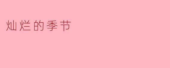 灿烂的季节