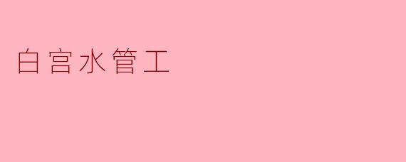 白宫水管工