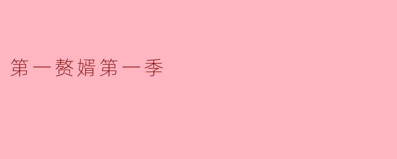 第一赘婿第一季