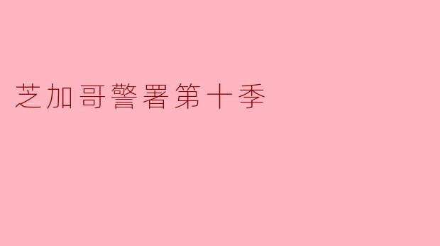 芝加哥警署第十季