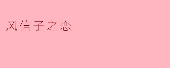 风信子之恋