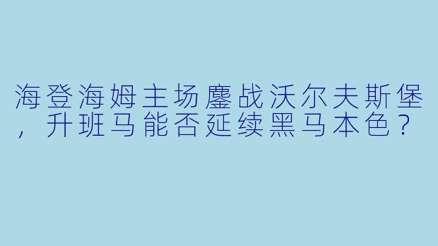 海登海姆主场鏖战沃尔夫斯堡，升班马能否延续黑马本色？