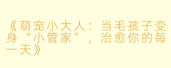 《萌宠小大人：当毛孩子变身“小管家”，治愈你的每一天》