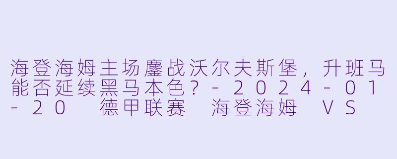 海登海姆主场鏖战沃尔夫斯堡,升班马能否延续黑马本色?-2024-01-20 德甲联赛 海登海姆 VS 沃尔夫斯堡