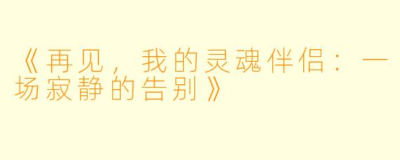 《再见，我的灵魂伴侣：一场寂静的告别》