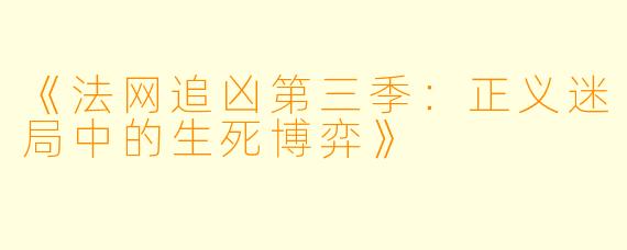 《法网追凶第三季：正义迷局中的生死博弈》