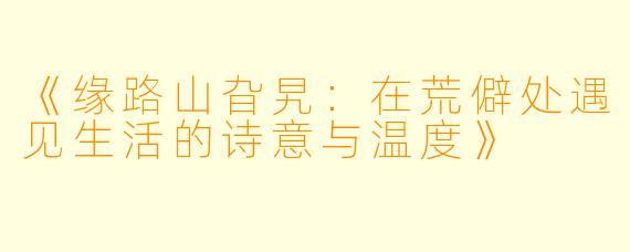 《缘路山旮旯：在荒僻处遇见生活的诗意与温度》