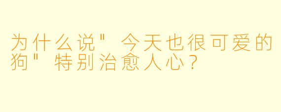 为什么说"今天也很可爱的狗"特别治愈人心？
