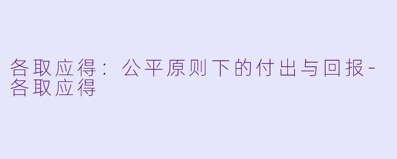 各取应得：公平原则下的付出与回报