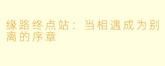 缘路终点站:当相遇成为别离的序章