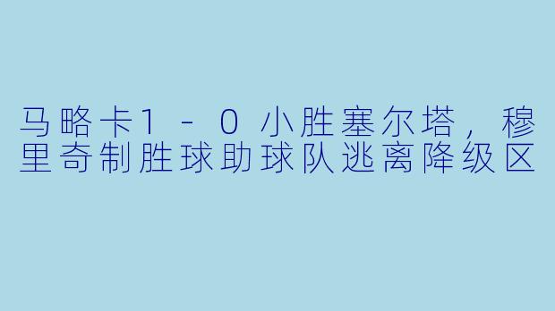 马略卡1-0小胜塞尔塔,穆里奇制胜球助球队逃离降级区