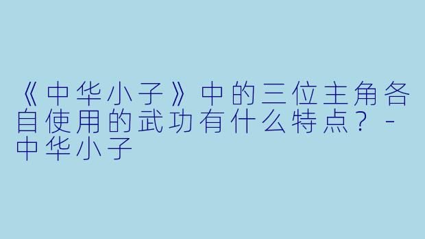《中华小子》中的三位主角各自使用的武功有什么特点?