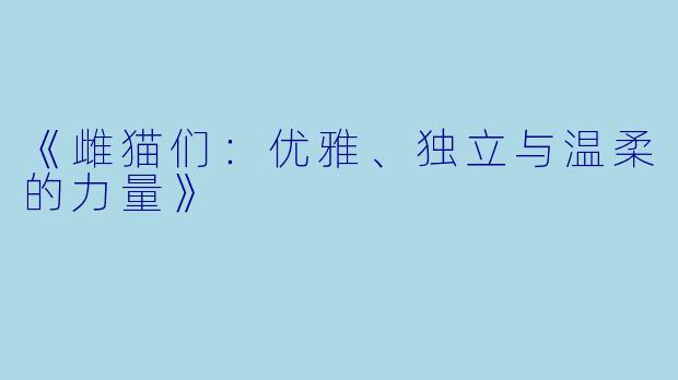 《雌猫们：优雅、独立与温柔的力量》