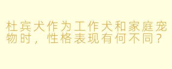 杜宾犬作为工作犬和家庭宠物时,性格表现有何不同?