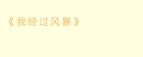 《我经过风暴》