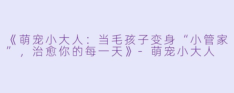 《萌宠小大人：当毛孩子变身“小管家”，治愈你的每一天》-萌宠小大人