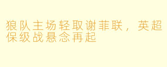 狼队主场轻取谢菲联，英超保级战悬念再起