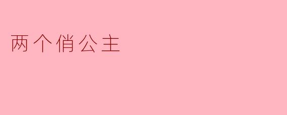 《两个俏公主》这部动画主要讲述了怎样的故事?