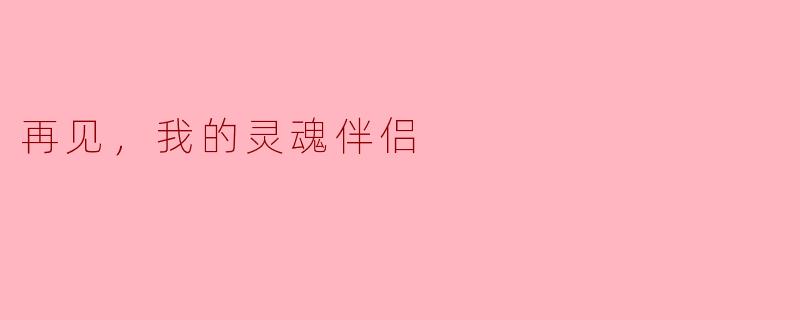 再见，我的灵魂伴侣