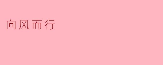 《向风而行》这部剧的核心看点是什么?