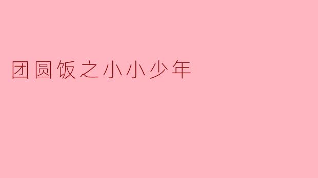 团圆饭之小小少年