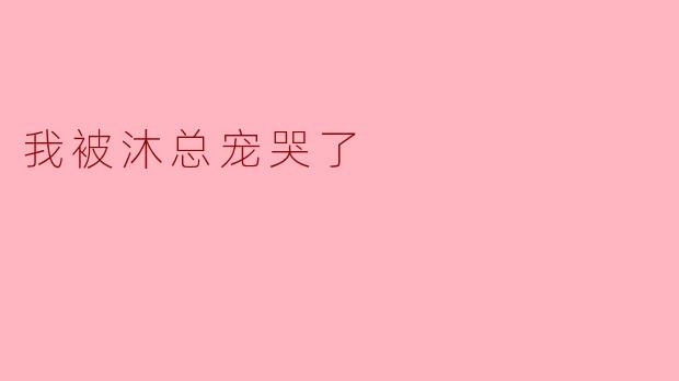 我被沐总宠哭了