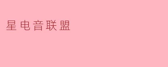 什么是《星电音联盟》？它与其他电音节目有什么不同？
