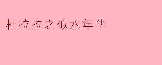 杜拉拉之似水年华