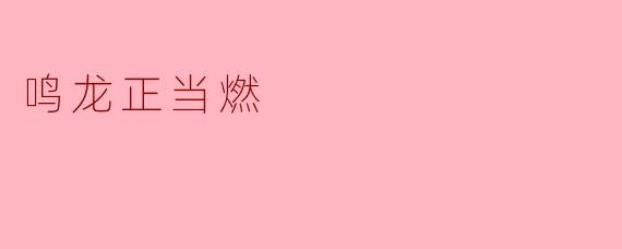 鸣龙正当燃