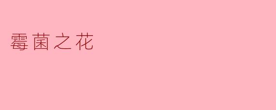 霉菌之花