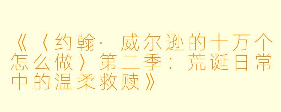 《〈约翰·威尔逊的十万个怎么做〉第二季：荒诞日常中的温柔救赎》