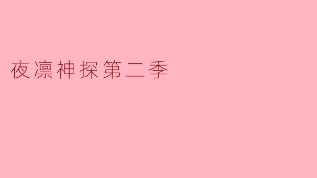 夜凛神探第二季