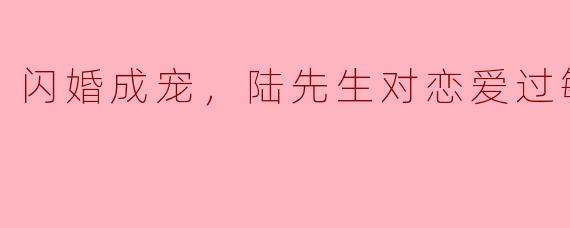 闪婚成宠，陆先生对恋爱过敏