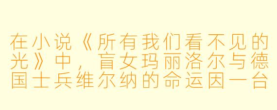 在小说《所有我们看不见的光》中，盲女玛丽洛尔与德国士兵维尔纳的命运因一台无线电而交织，你认为这象征了什么？