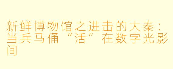 新鲜博物馆之进击的大秦:当兵马俑“活”在数字光影间