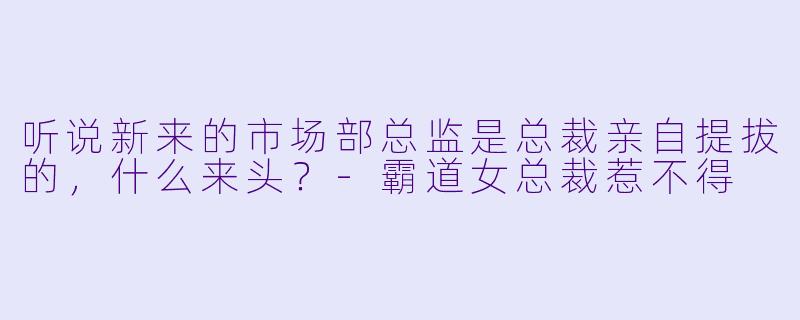 听说新来的市场部总监是总裁亲自提拔的，什么来头？