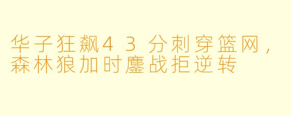 华子狂飙43分刺穿篮网，森林狼加时鏖战拒逆转